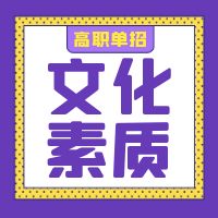 2024年湖南邮电职业技术学院单招文化素质测试语数英考试大纲及样题（二三类考生）